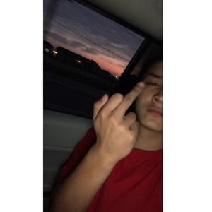 Meet your Posher, Don